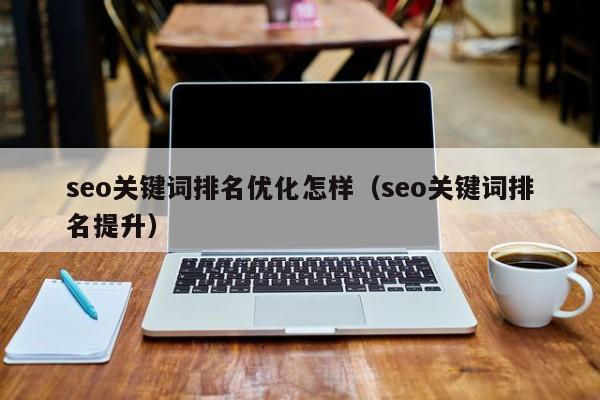 seo关键词排名优化怎样（seo关键词排名提升）