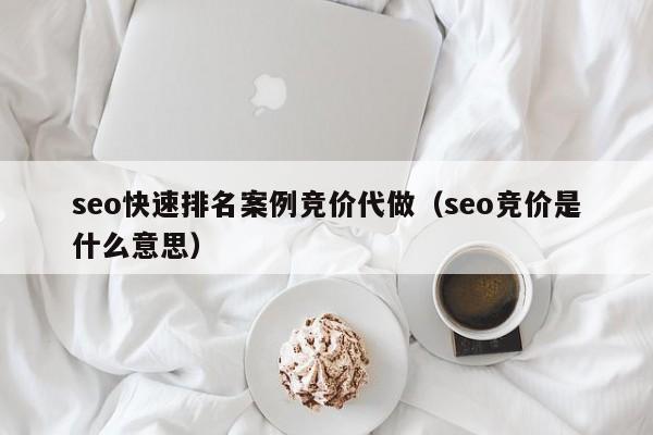 seo快速排名案例竞价代做（seo竞价是什么意思）