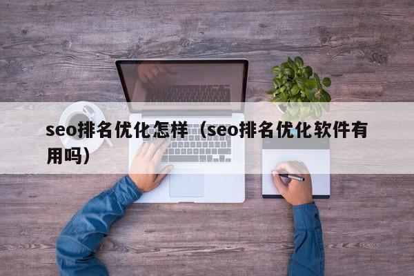 seo排名优化怎样（seo排名优化软件有用吗）