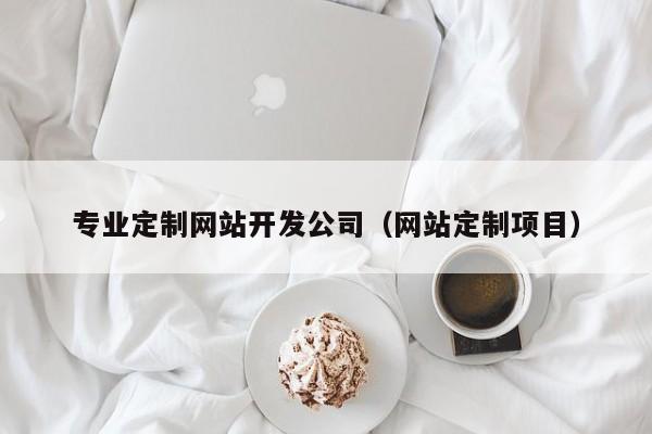 专业定制网站开发公司（网站定制项目）