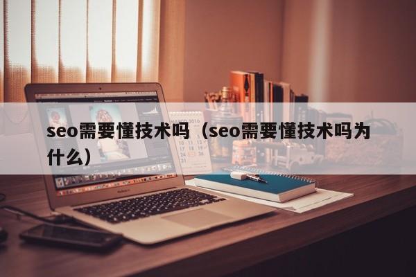 seo需要懂技术吗（seo需要懂技术吗为什么）