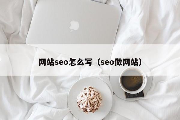 网站seo怎么写（seo做网站）