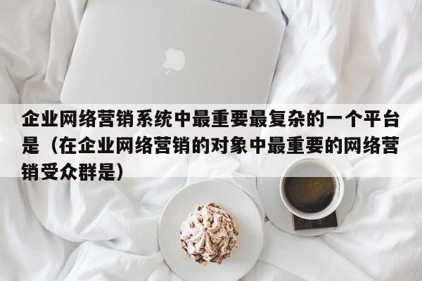 企业网络营销系统中最重要最复杂的一个平台是（在企业网络营销的对象中最重要的网络营销受众群是）