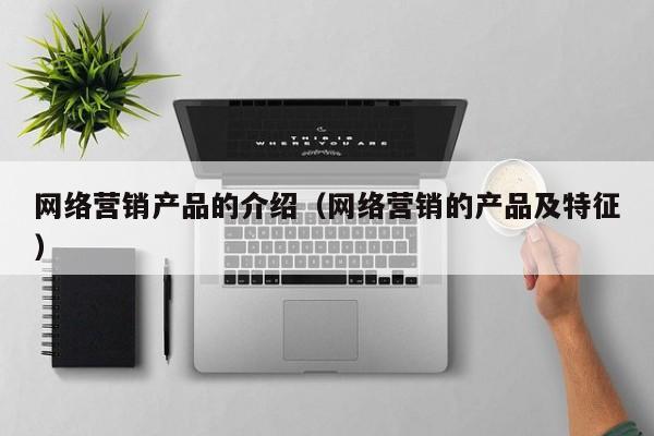 网络营销产品的介绍（网络营销的产品及特征）