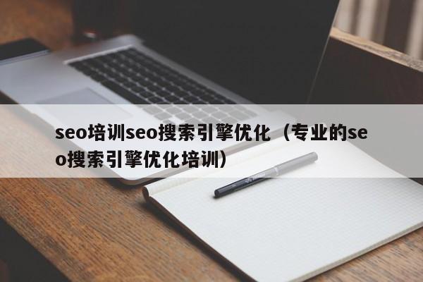 seo培训seo搜索引擎优化（专业的seo搜索引擎优化培训）