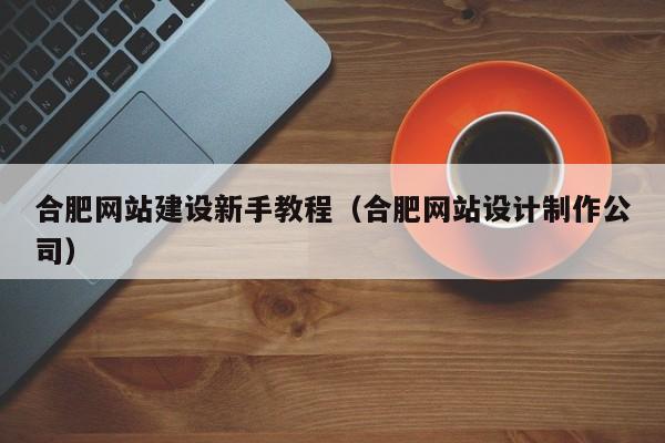 合肥网站建设新手教程（合肥网站设计制作公司）