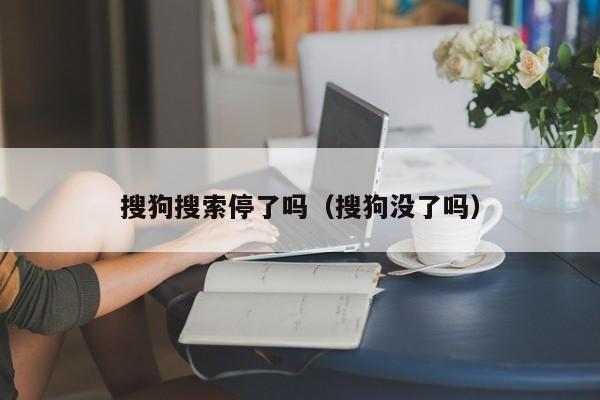 搜狗搜索停了吗（搜狗没了吗）