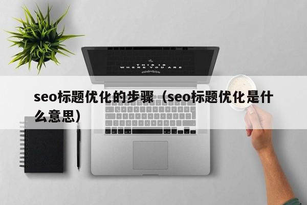 seo标题优化的步骤（seo标题优化是什么意思）