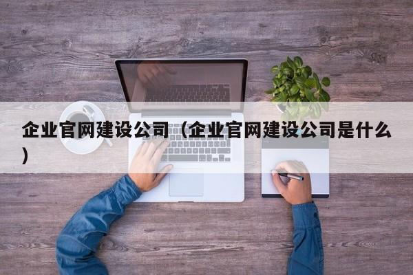 企业官网建设公司（企业官网建设公司是什么）