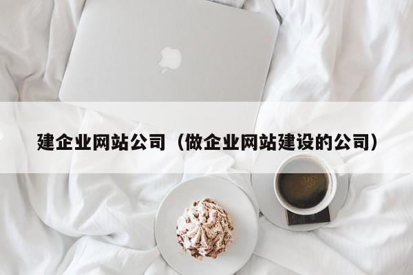 建企业网站公司（做企业网站建设的公司）