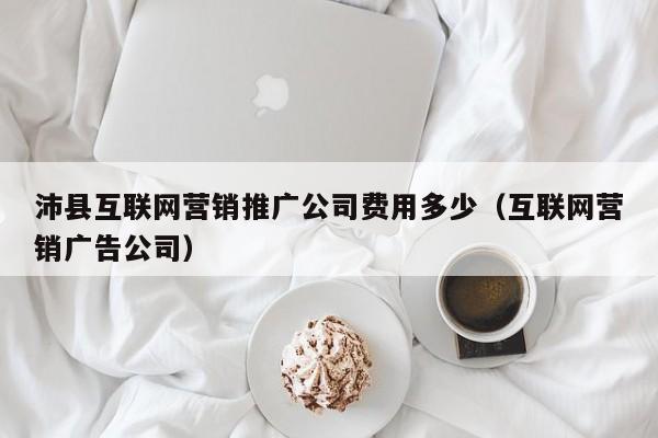 沛县互联网营销推广公司费用多少（互联网营销广告公司）