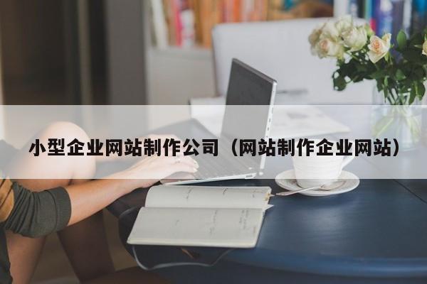 小型企业网站制作公司（网站制作企业网站）