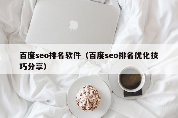 百度seo排名软件（百度seo排名优化技巧分享）