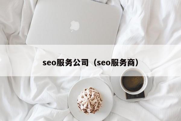 seo服务公司（seo服务商）