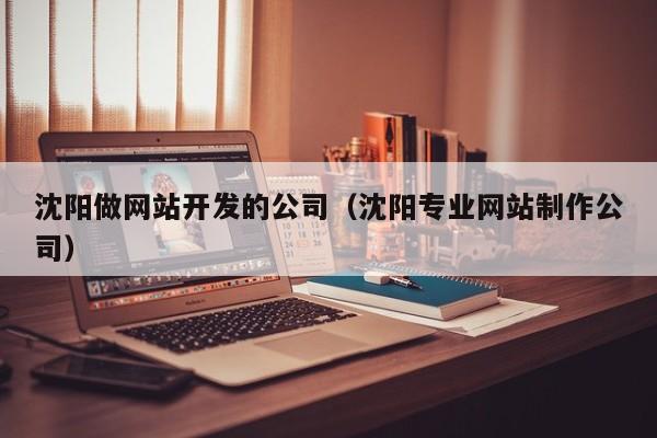 沈阳做网站开发的公司（沈阳专业网站制作公司）