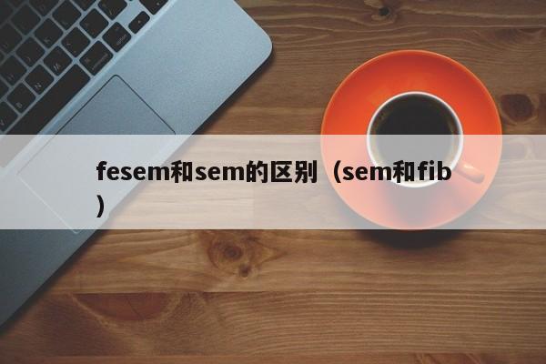 fesem和sem的区别（sem和fib）