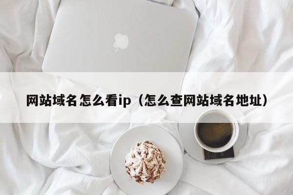 网站域名怎么看ip（怎么查网站域名地址）