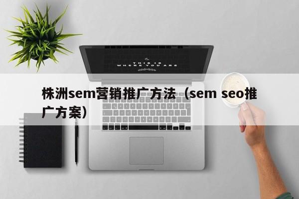 株洲sem营销推广方法（sem seo推广方案）