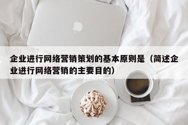 企业进行网络营销策划的基本原则是（简述企业进行网络营销的主要目的）