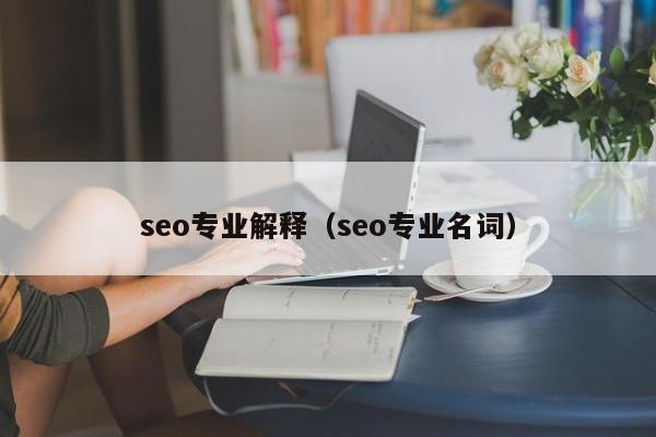 seo专业解释（seo专业名词）