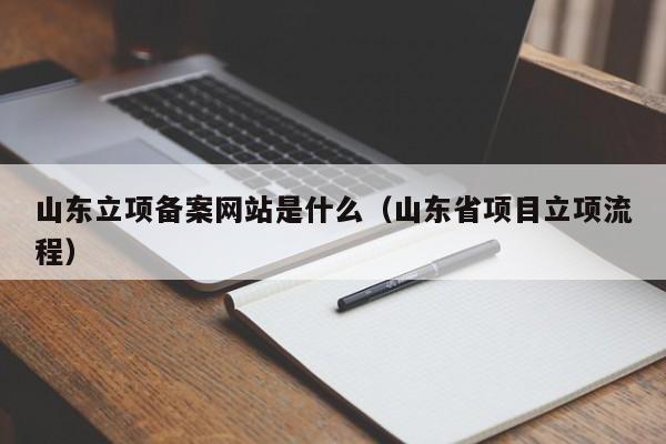 山东立项备案网站是什么（山东省项目立项流程）