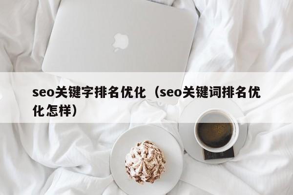 seo关键字排名优化（seo关键词排名优化怎样）