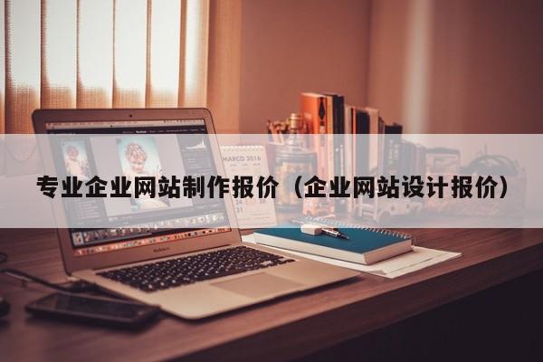 专业企业网站制作报价（企业网站设计报价）