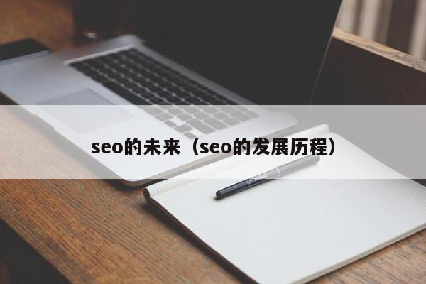 seo的未来（seo的发展历程）