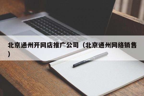 北京通州开网店推广公司（北京通州网络销售）