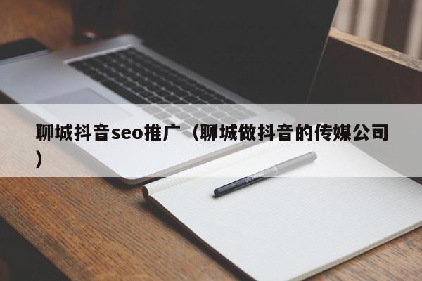 聊城抖音seo推广（聊城做抖音的传媒公司）