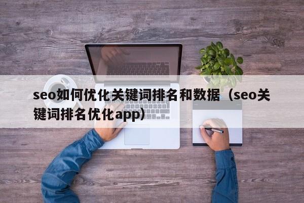 seo如何优化关键词排名和数据（seo关键词排名优化app）