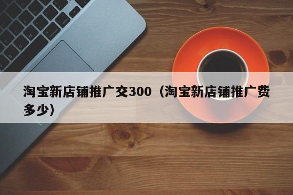 淘宝新店铺推广交300（淘宝新店铺推广费多少）