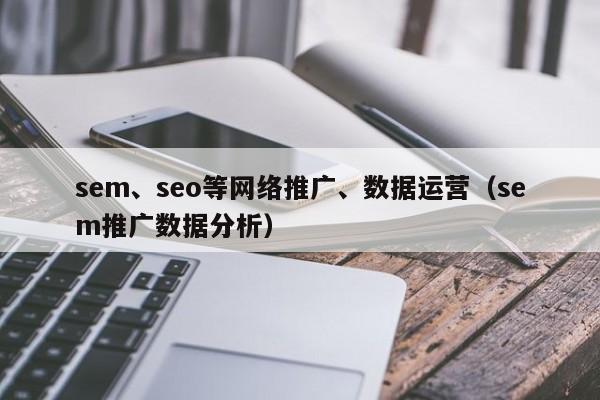 sem、seo等网络推广、数据运营（sem推广数据分析）