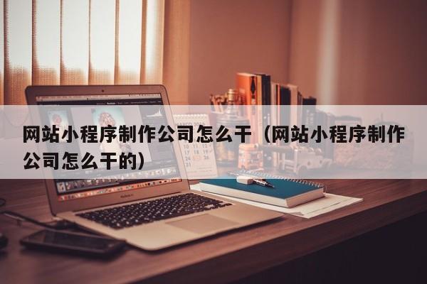 网站小程序制作公司怎么干（网站小程序制作公司怎么干的）