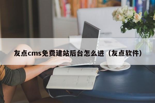 友点cms免费建站后台怎么进（友点软件）