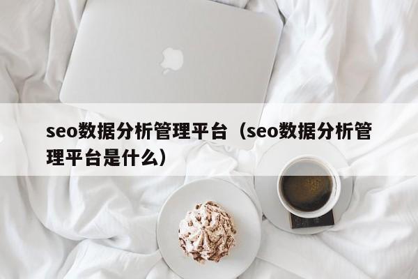 seo数据分析管理平台（seo数据分析管理平台是什么）