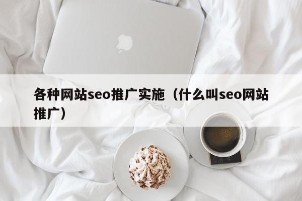 各种网站seo推广实施（什么叫seo网站推广）