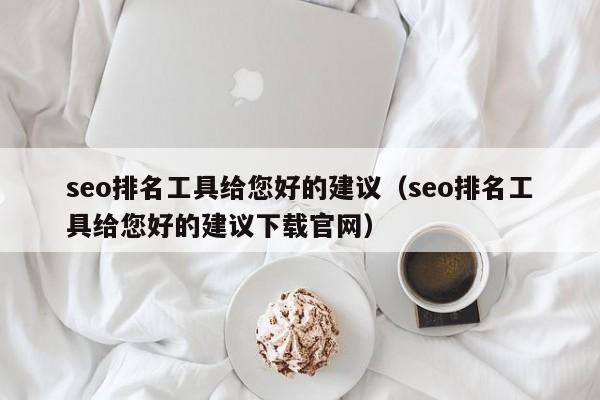 seo排名工具给您好的建议（seo排名工具给您好的建议下载官网）