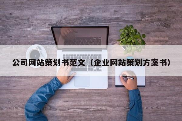 公司网站策划书范文（企业网站策划方案书）